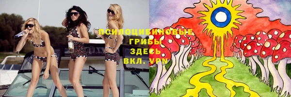 стафф Богданович