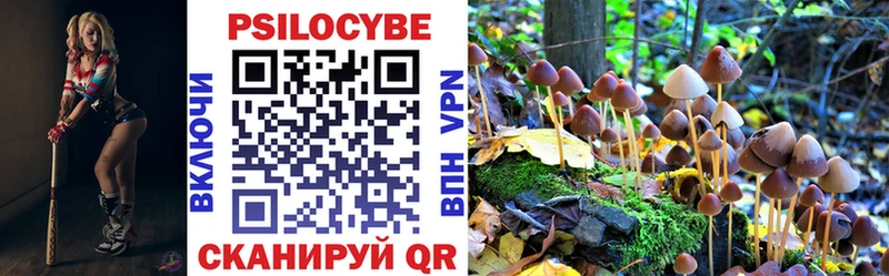 Псилоцибиновые грибы Psilocybe  Купить закладки  Наволоки 